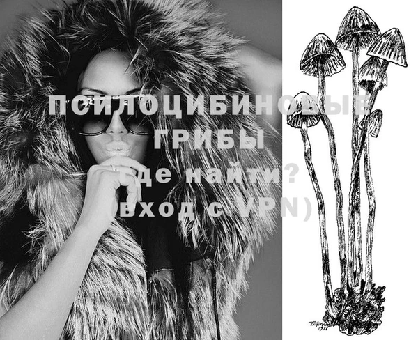 не бодяженный Магадан