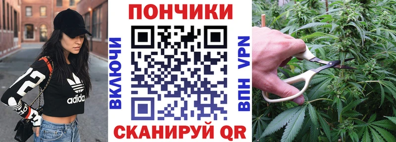 OMG онион  Яранск  Бошки Шишки гибрид 